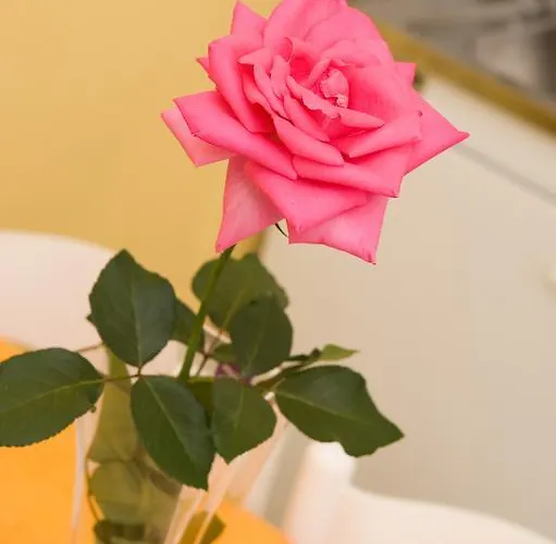 Kahlua Aparthotel Rhodes City