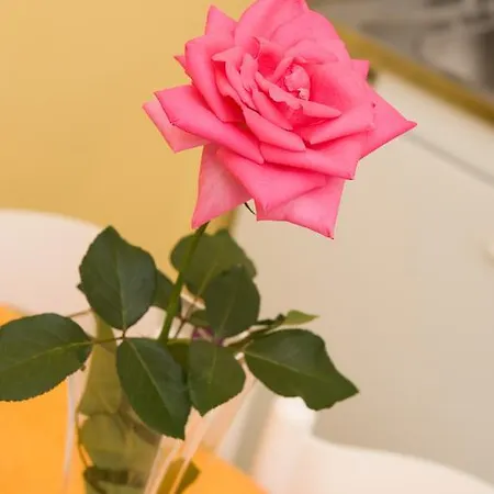 Kahlua Hotel apartamentowy Rhodes City