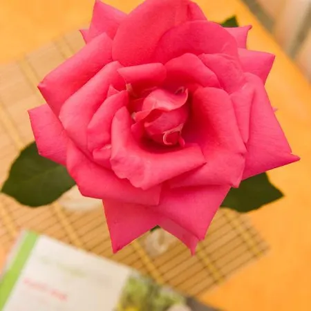 甘露公寓式酒店 2*